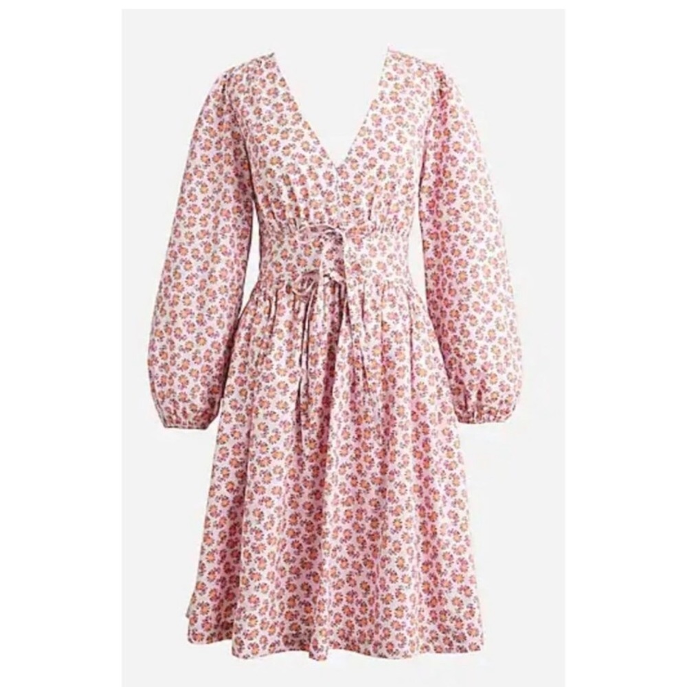 JCrew V-Neck Cotton Poplin Mini Dress in Peony Paisley
